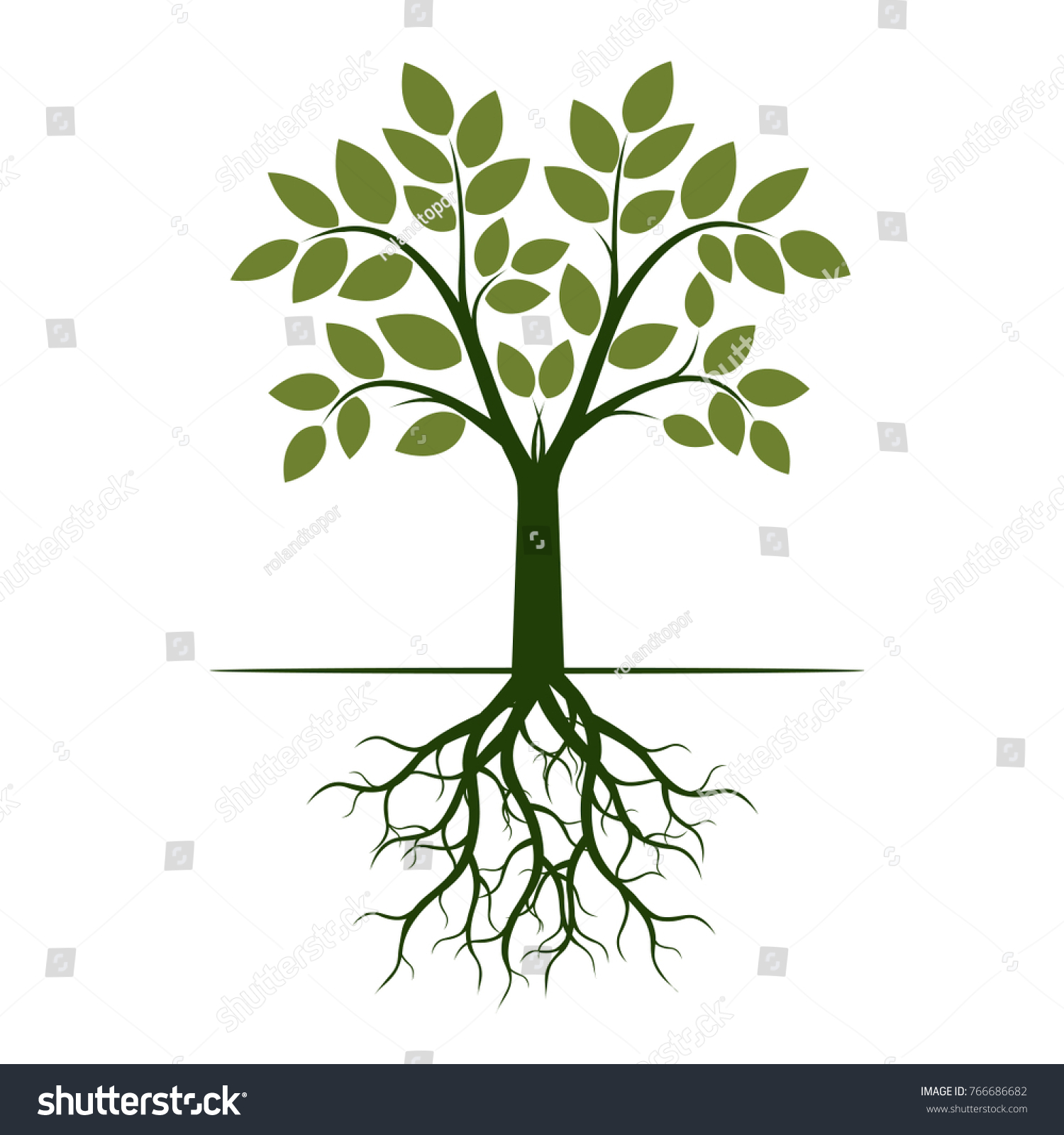 Green Tree Roots Vector Illustration Stock Vector (Royalty Free ...