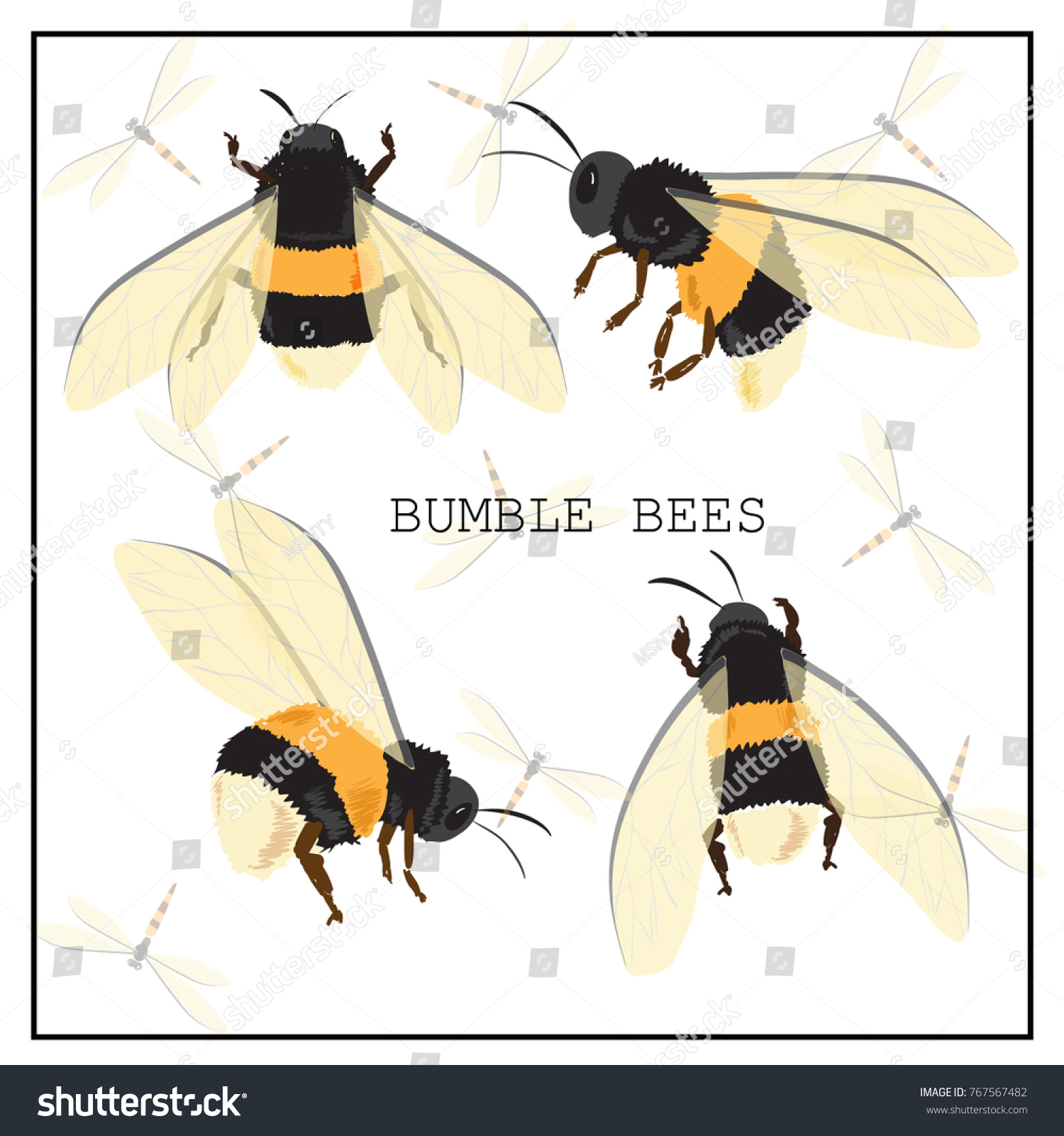 Honey Bee Set Vector Set Honey Stock Vector (Royalty Free) 767567482 ...