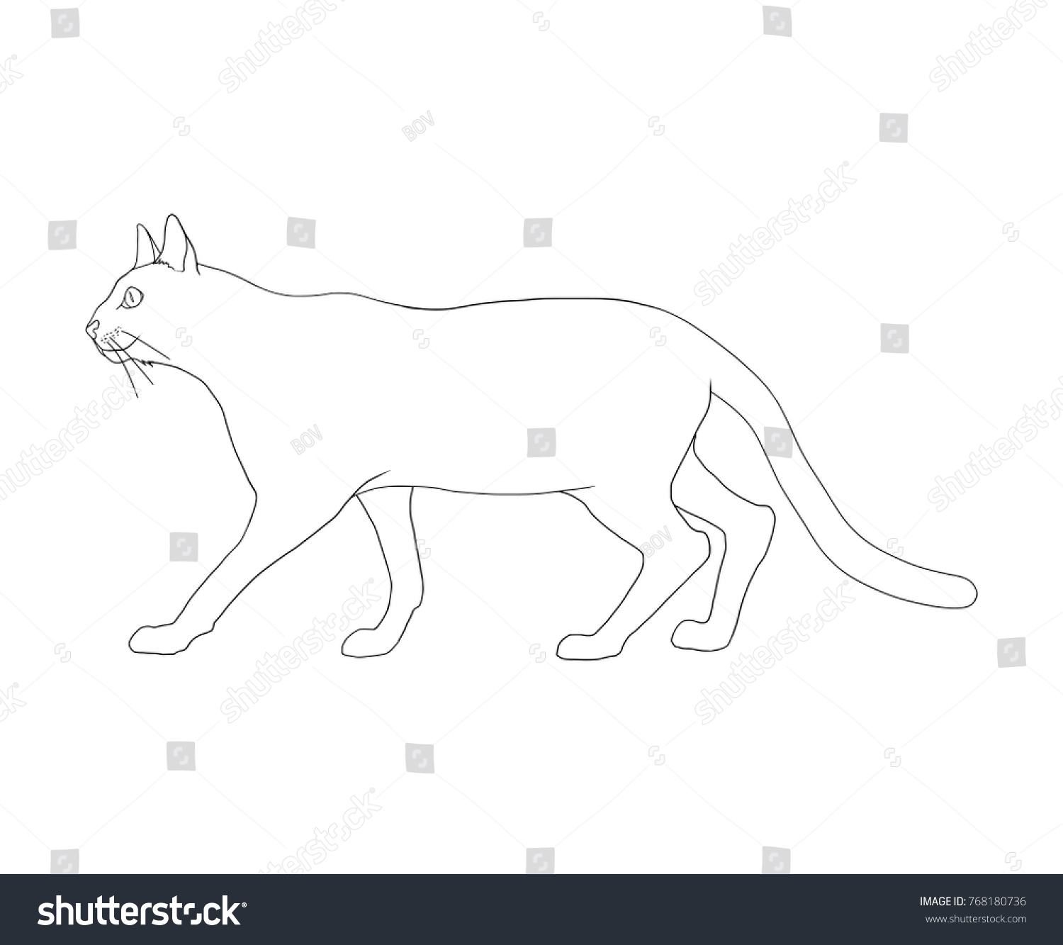 Coloring Book Cat Isolated On White Stock Vector (Royalty Free ...