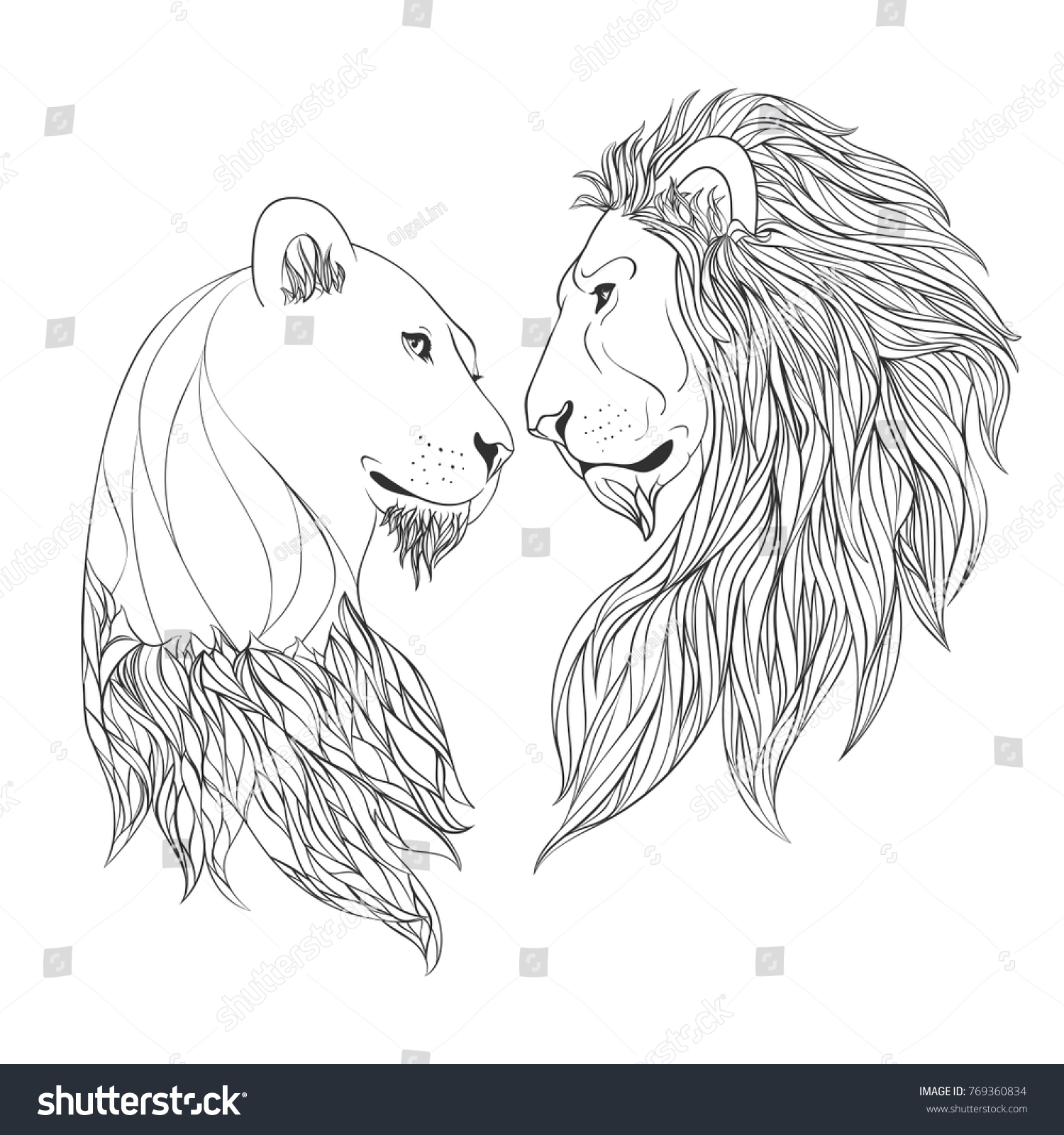 Лев и львица эскиз