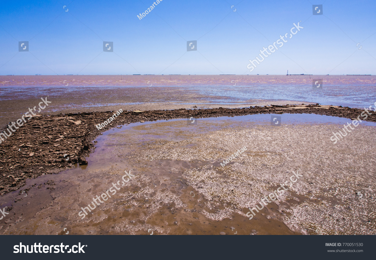 Beautiful Wallpaper Brackish Water Beach Background Stock Photo ...