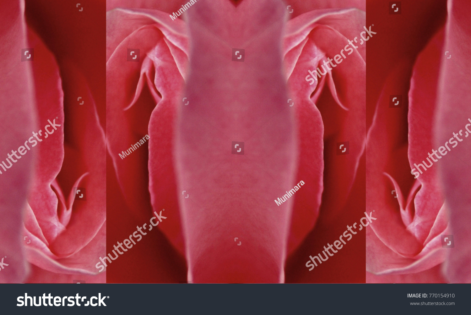 Sex Pussy Vulva Clitoris Vagina Orgasm Foto Stock 770154910 Shutterstock 8794