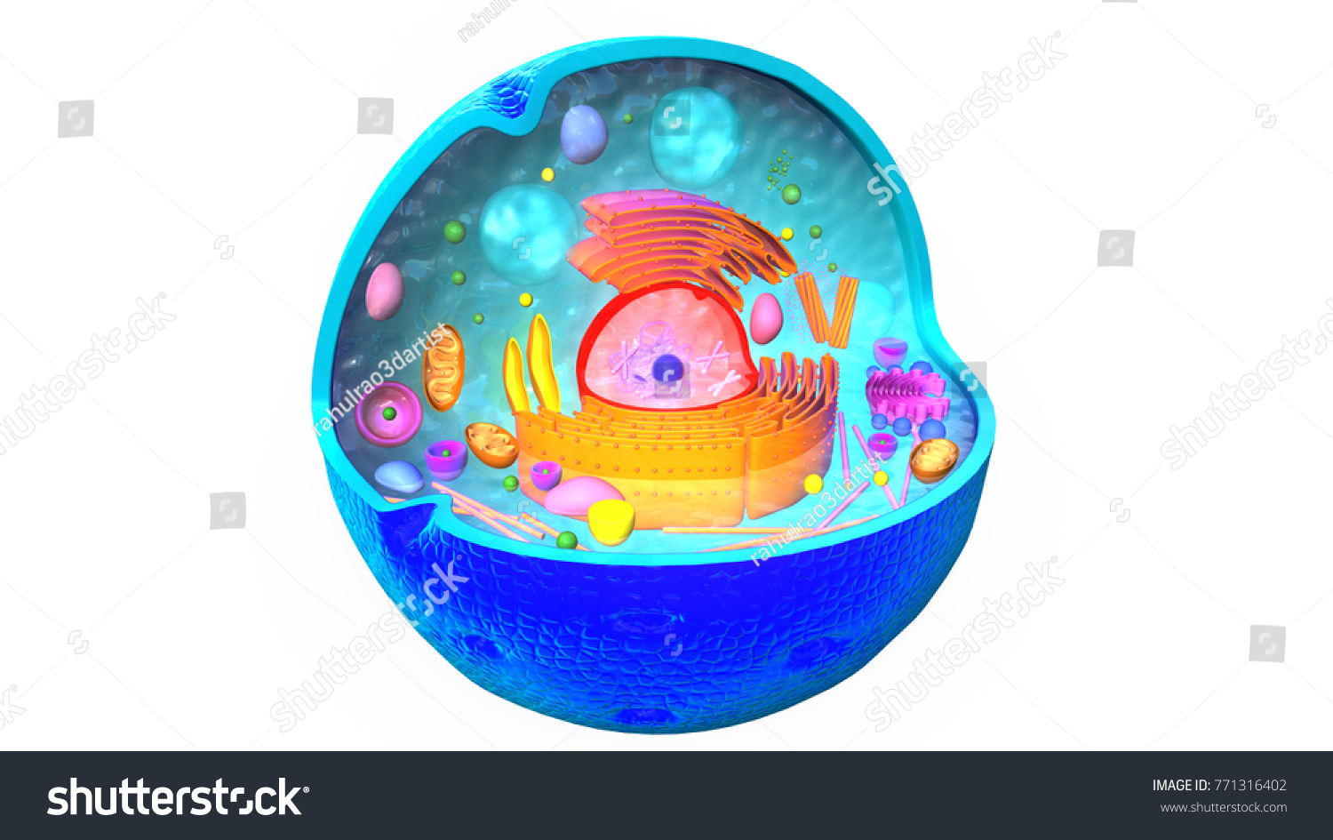 Animal Cell 3d Illustration Stock Illustration 771316402 | Shutterstock