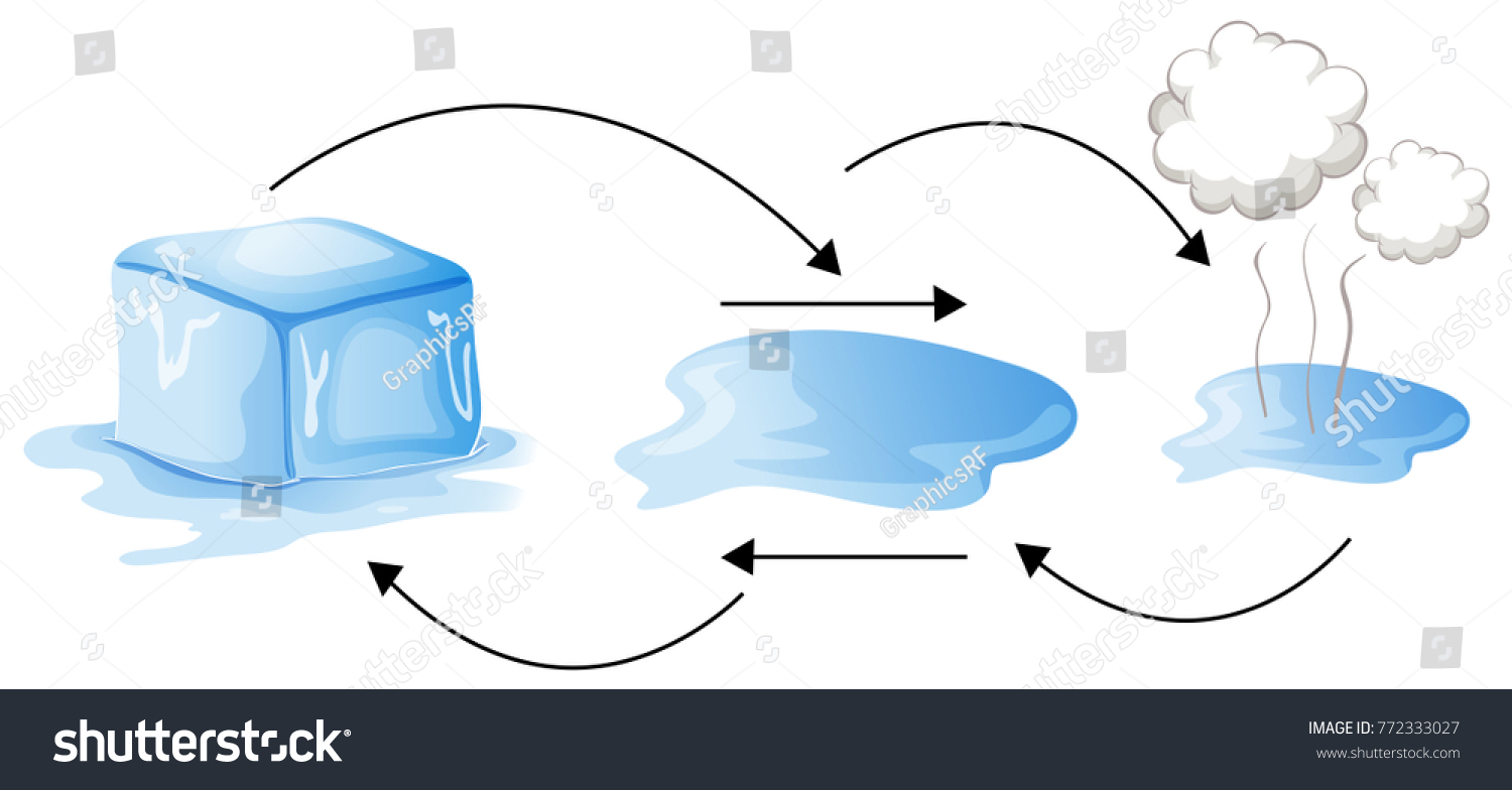 Diagram Showing Different Status Water Illustration Stock Vector ...