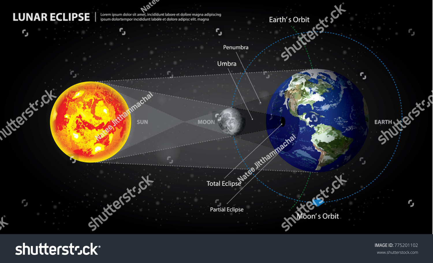 Lunar Eclipses Sun Earth Moon Vector Stock Vector (Royalty Free ...