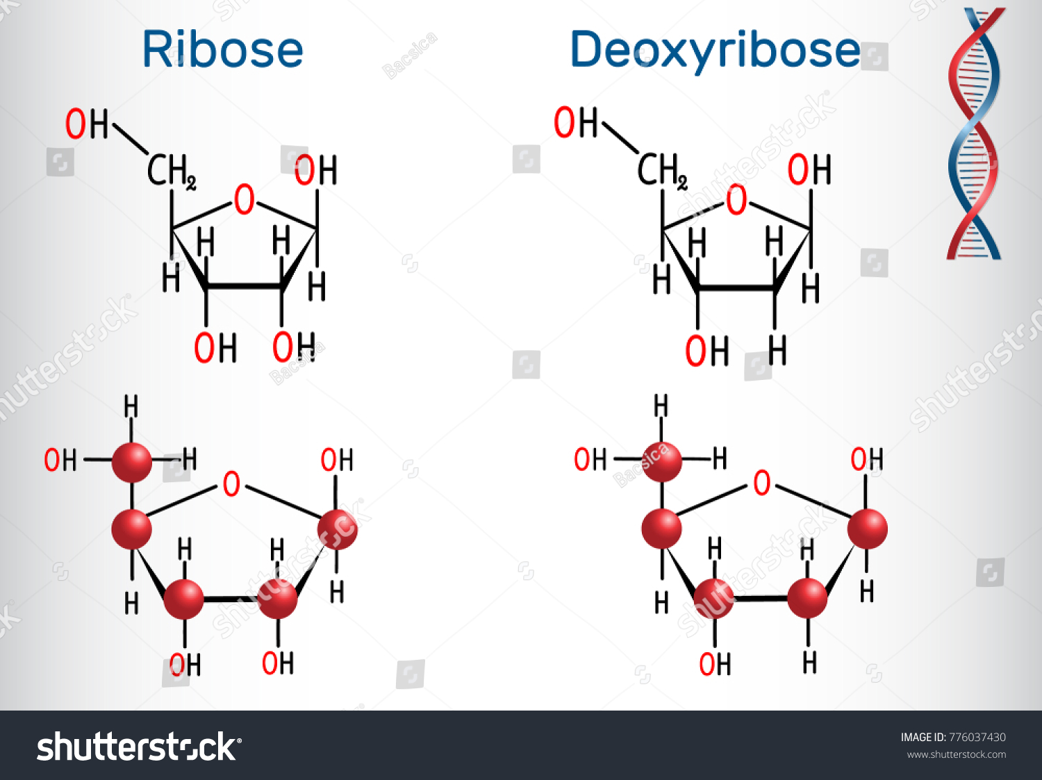 Рибоза рисунок. 2 Дезоксирибоза. Рибоза и дезоксирибоза формулы. Рибоза строение молекулы. Дезоксирибоза структурная формула.