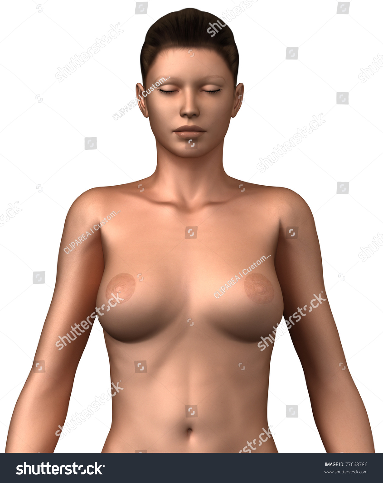 Female Naked Torso Front View pic