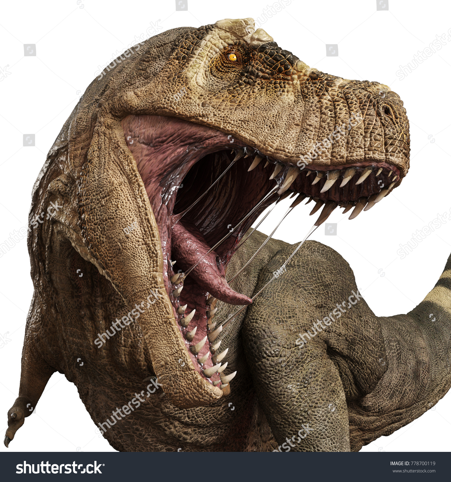 t rex angry