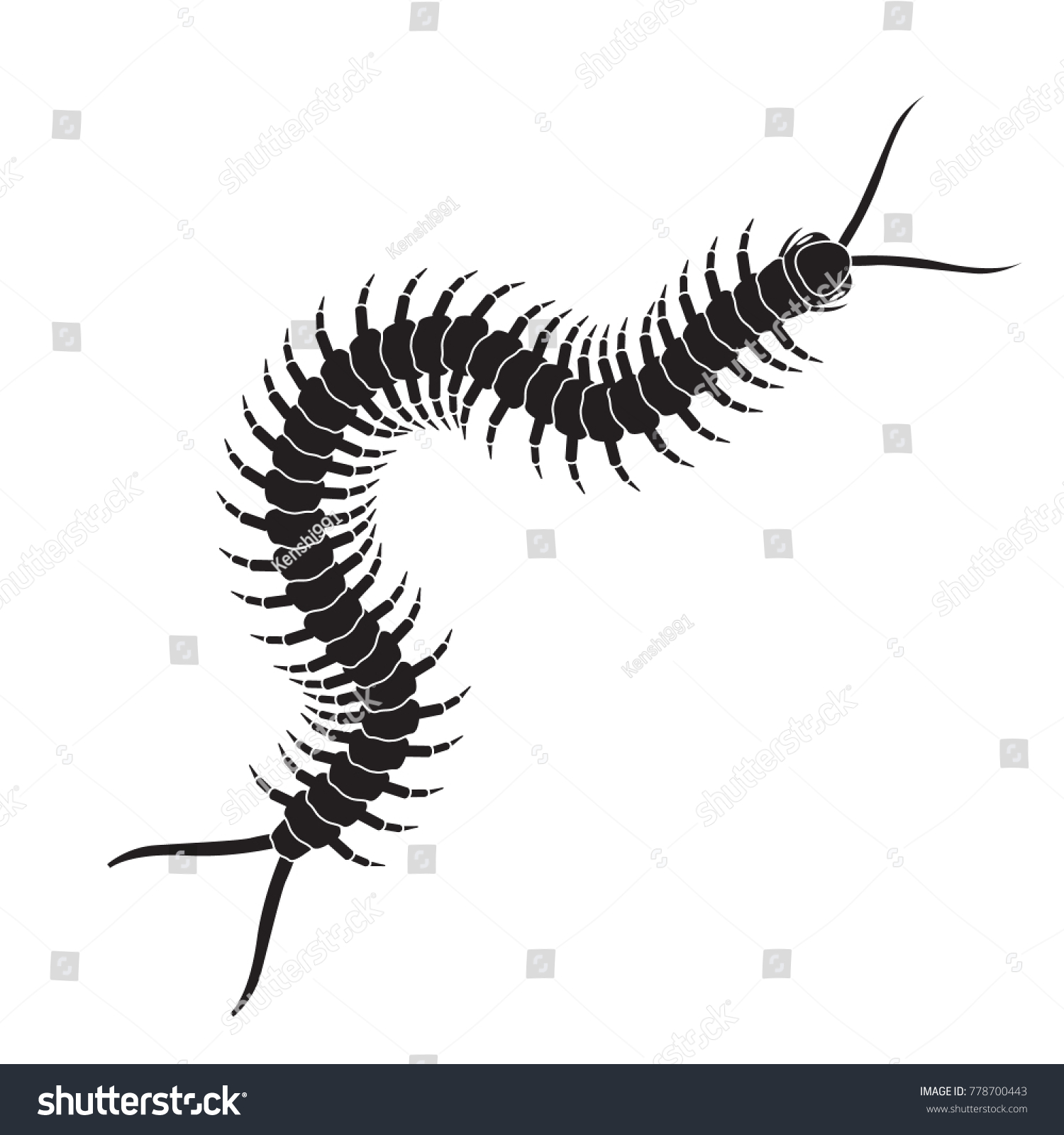 Centipede Icon Realistic Centipede Vector Stock Vector (Royalty Free ...