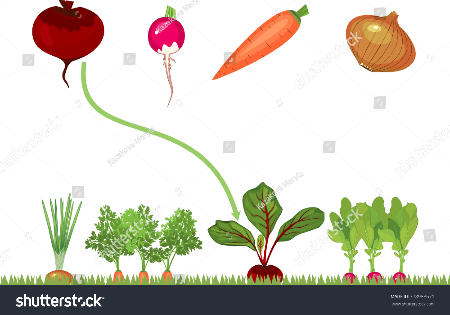 Овощи огород задания для детей