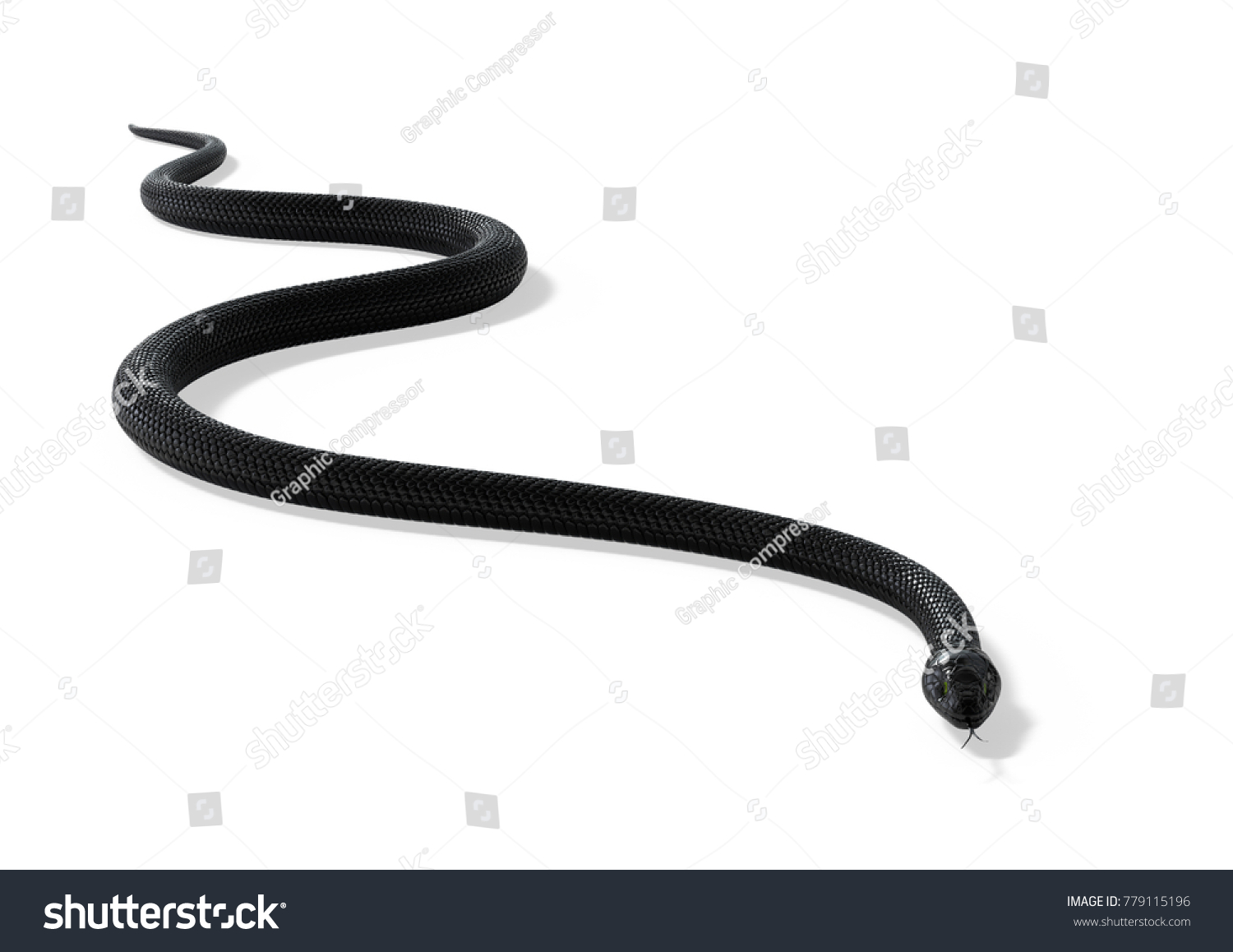 Black Snake Isolated On White Background Stock Illustration 779115196 ...