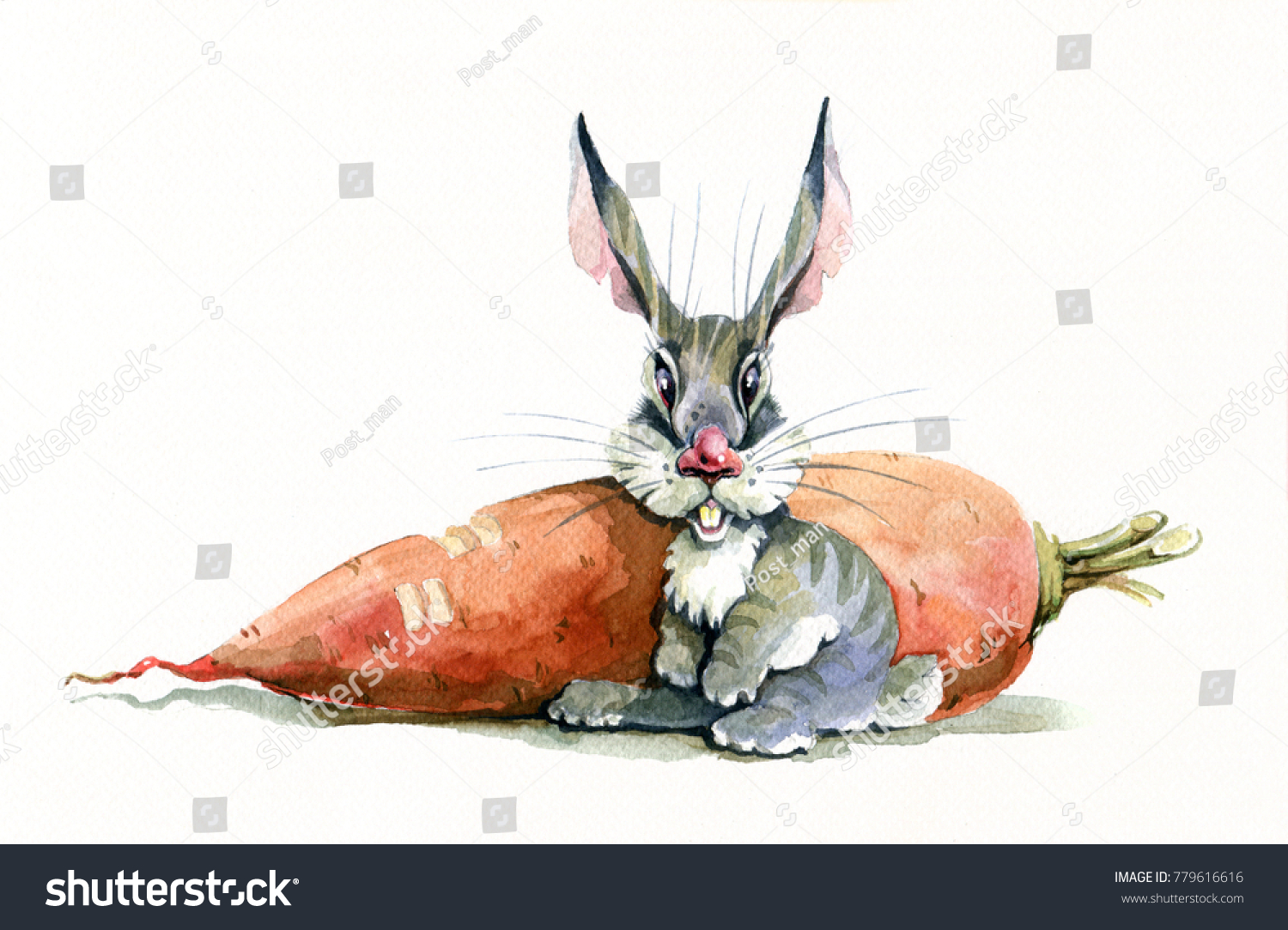 Иллюстратор кролик