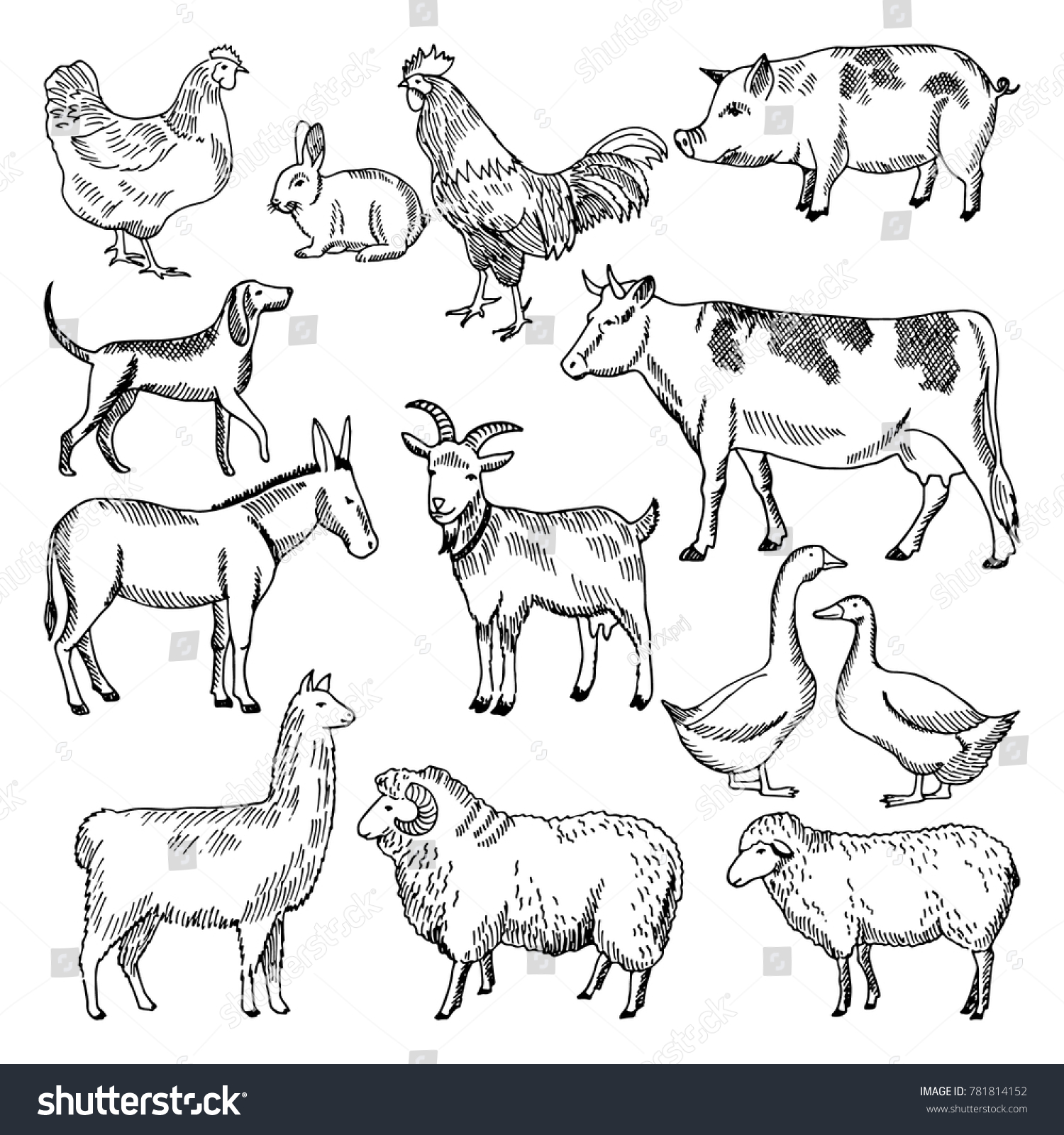 Vintage Farm Animals Farming Illustration Hand Stock Illustration ...