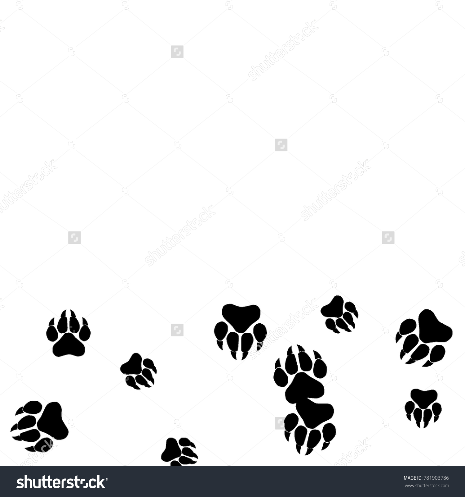 Monochrome Bear Footprints Black White Prints Stock Vector (Royalty ...