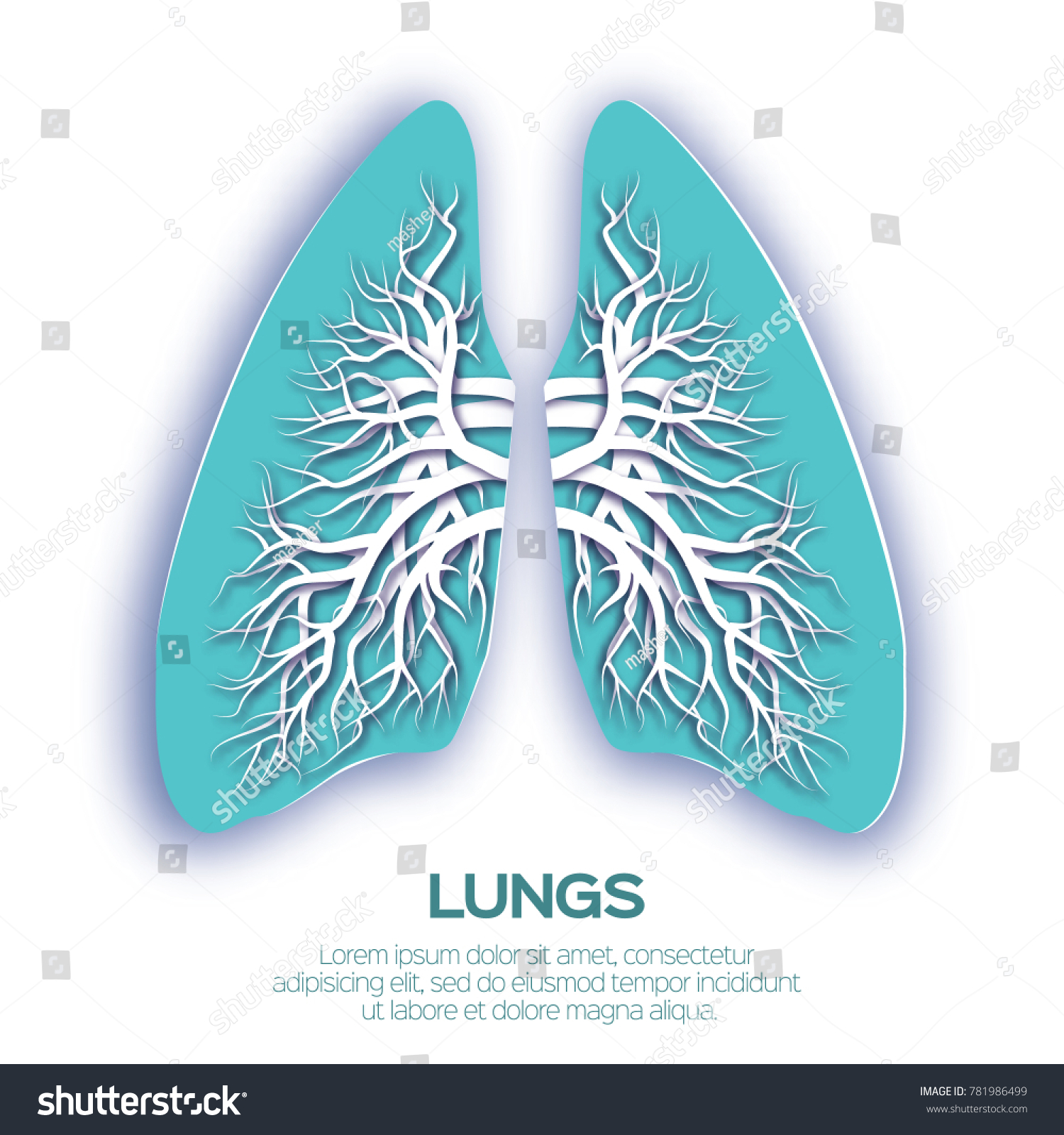 Lungs Origami Blue Paper Cut Human Stock Vector (Royalty Free ...