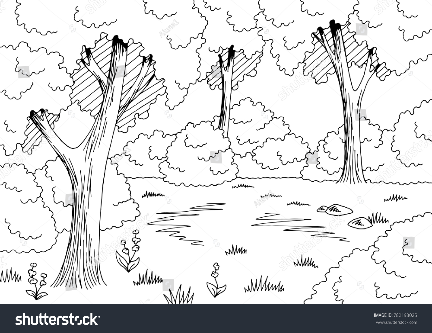 Forest Glade Graphic Black White Landscape Stock Vector (Royalty Free ...