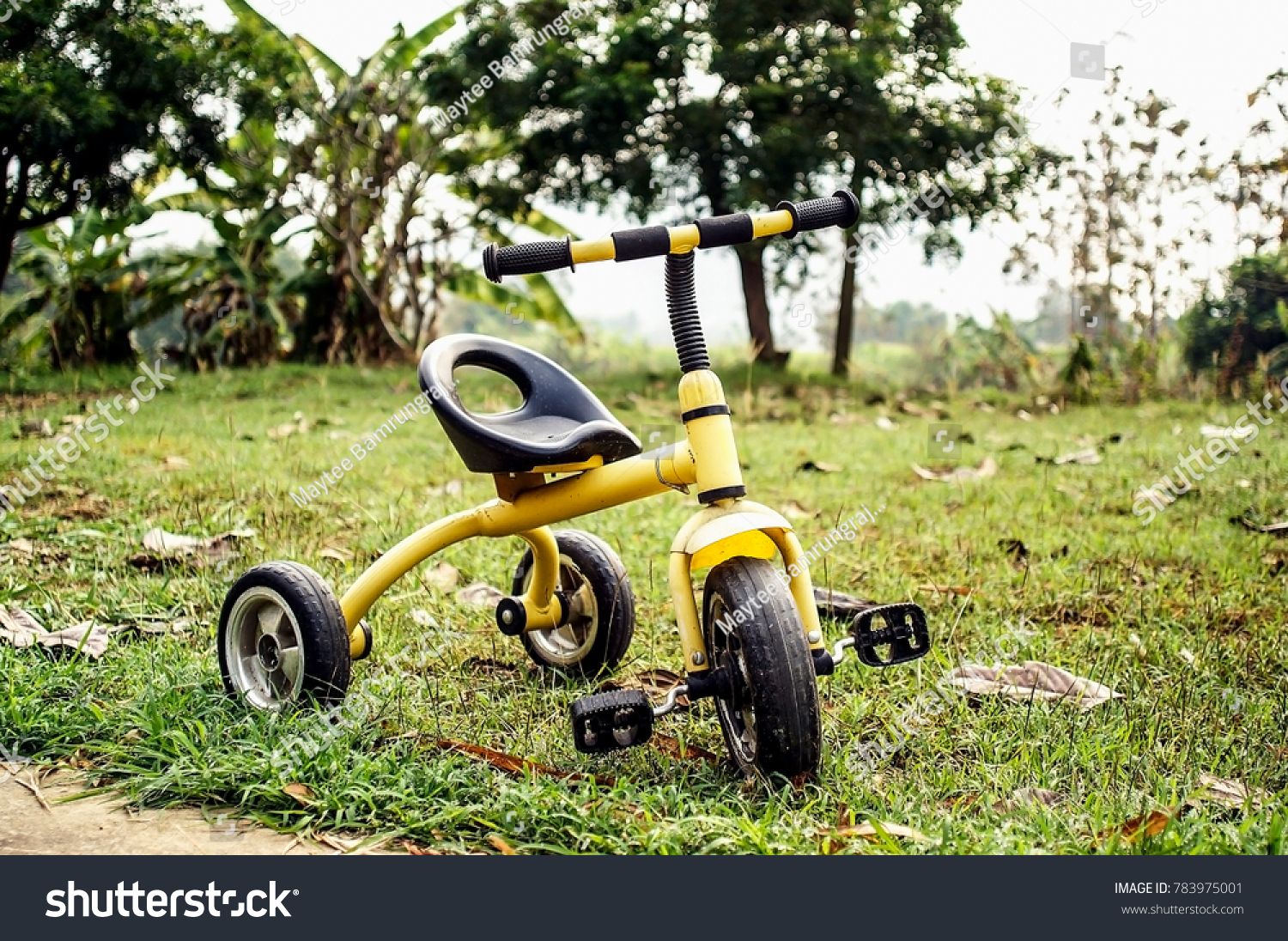 tricycle for grass