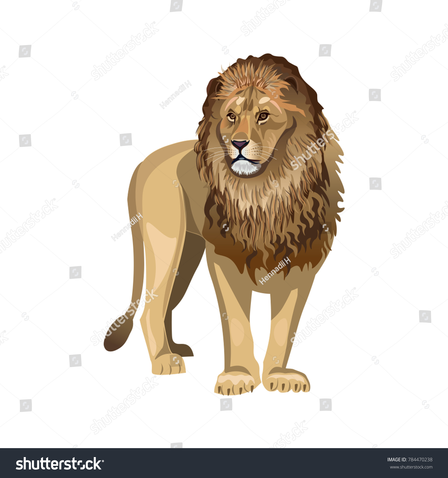 African Lion Standing Front Vector Illustration Stock Vector (Royalty ...