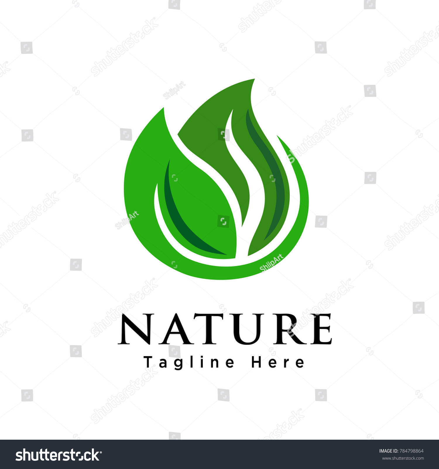 Abstract Green Leaf Logo Stock Vector (Royalty Free) 784798864 ...