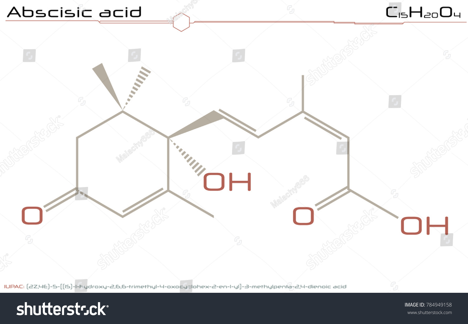 Large Detailed Infographic Molecule Abscisic Acid Stock Vector (Royalty ...