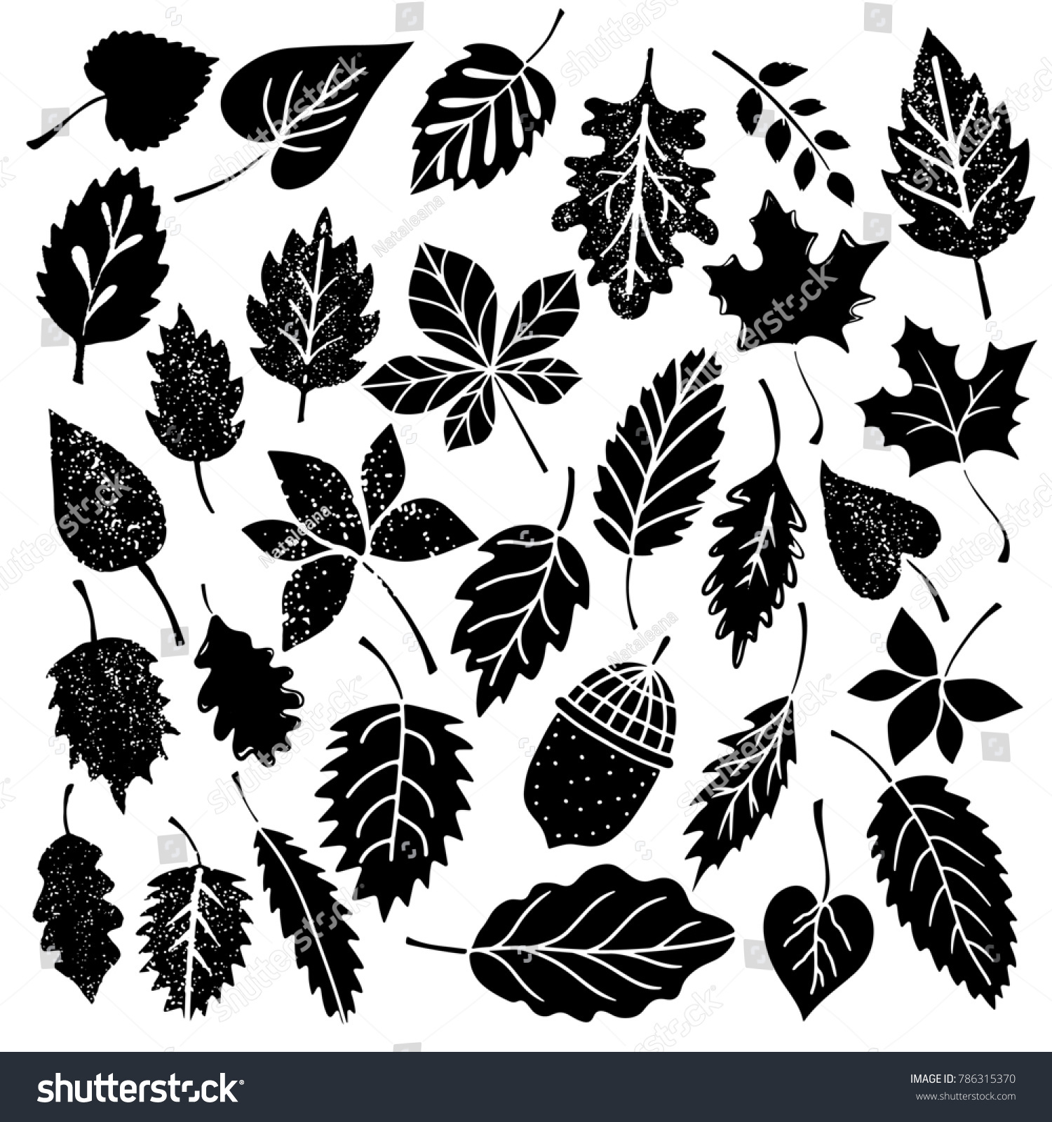 Leaves Acorn Black Silhouettes Distressed Isolated Stock Illustration ...
