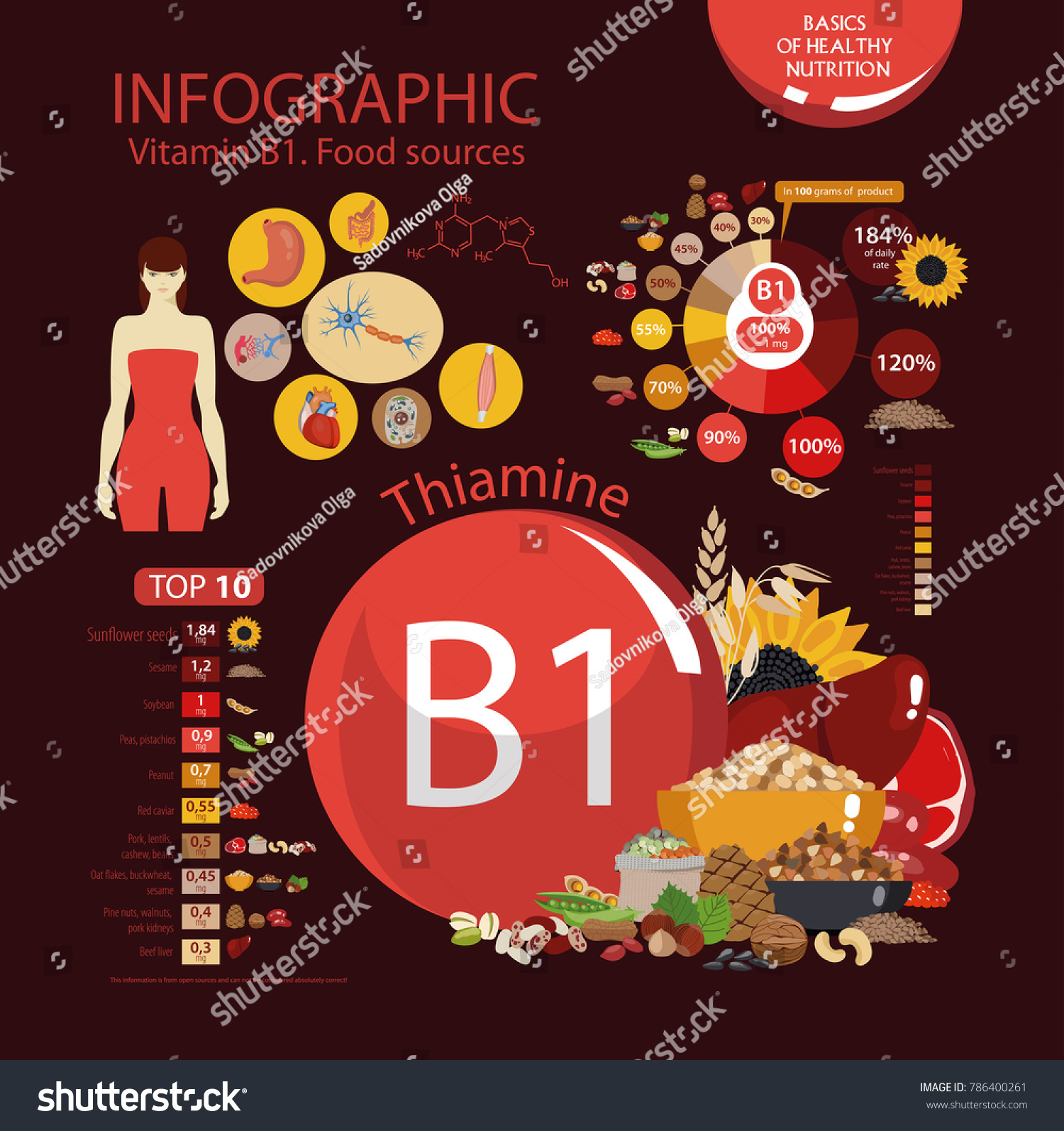 Vitamin B1 Thiamine Food Sources Infographics Stock Vector (Royalty ...