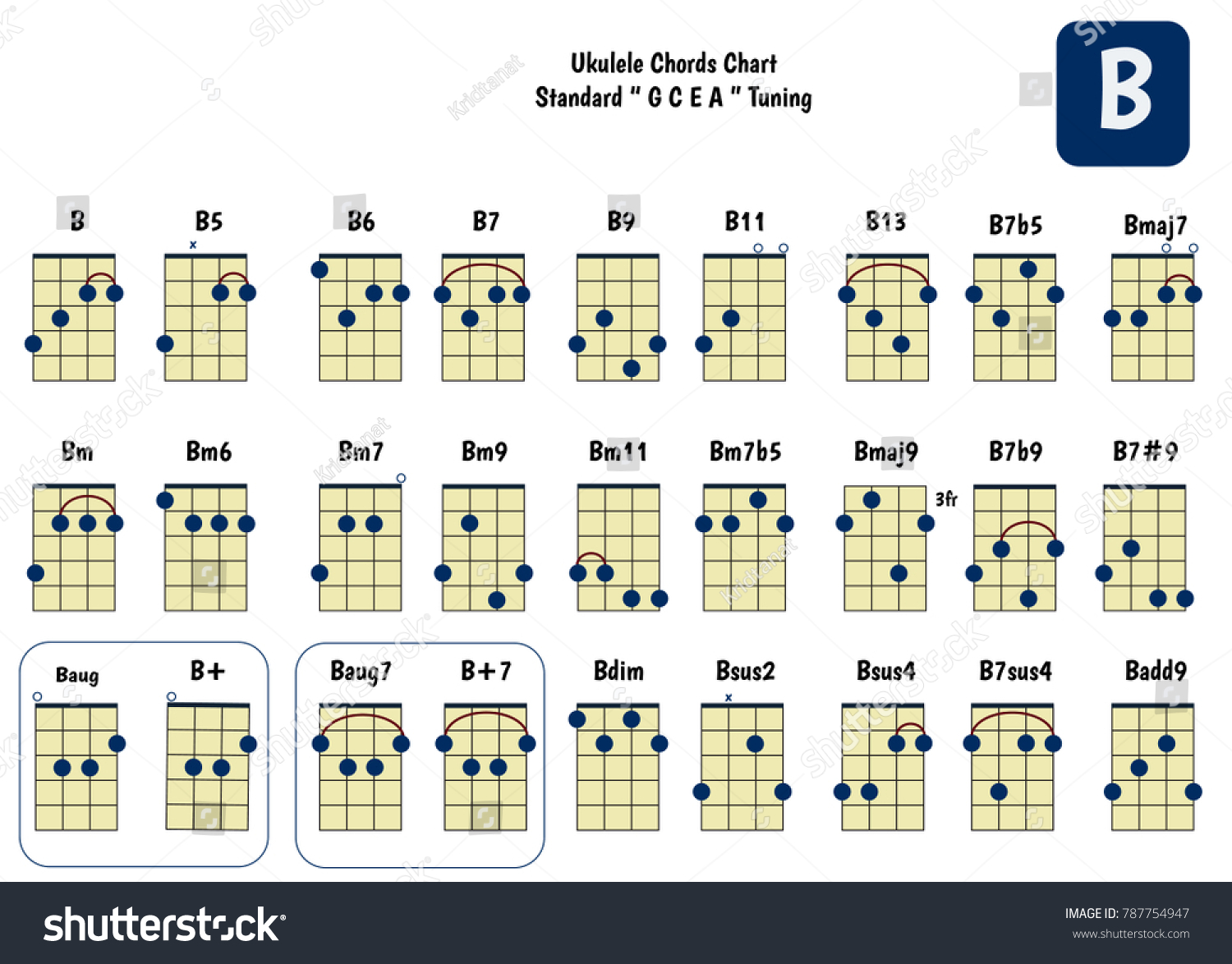 Ukulele Chord Chart Standard Tuning Ukulele Stock-vektor (royaltyfri) 78775...