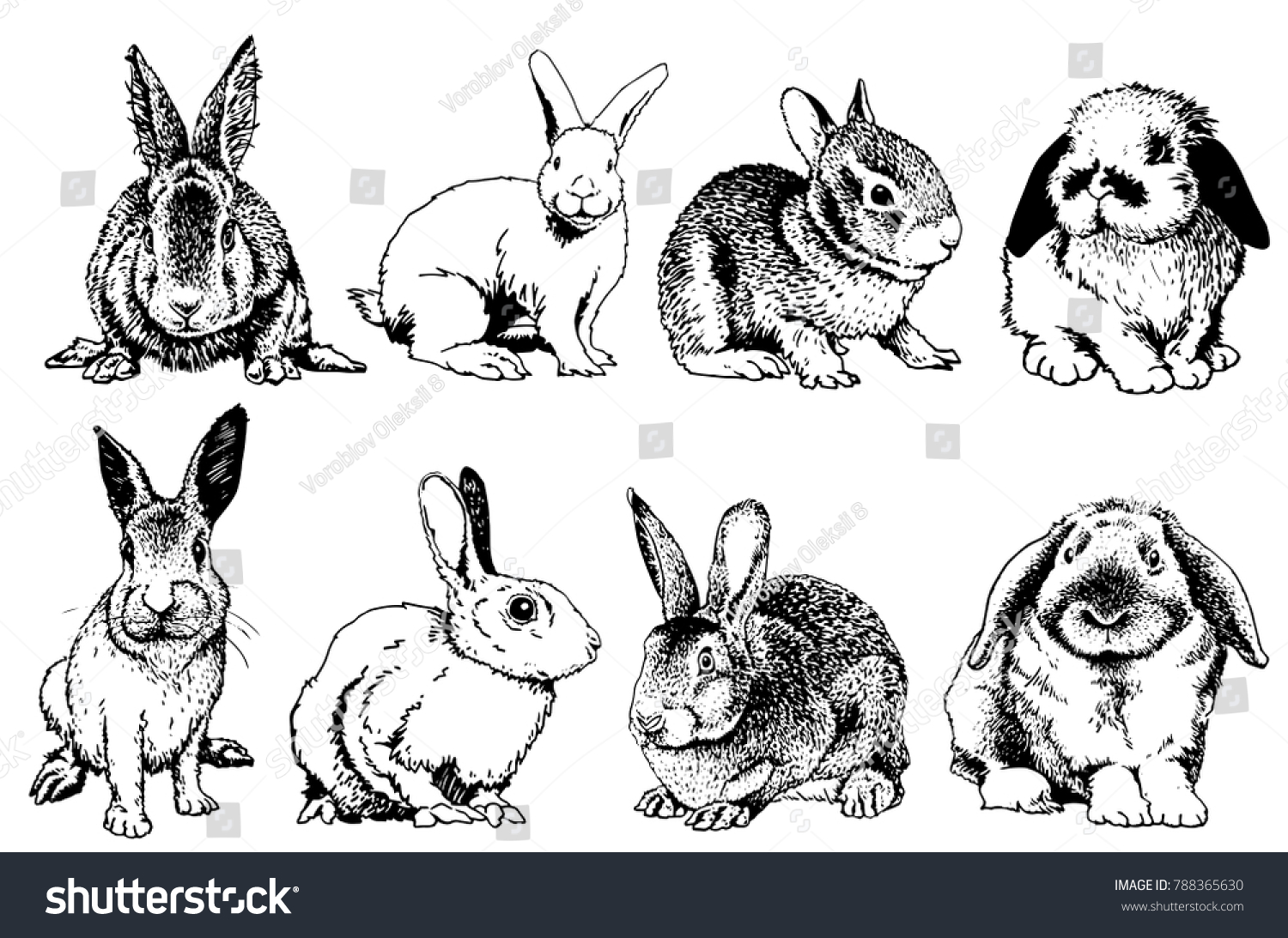 Graphical Set Rabbits Isolated On White Stock Vector (Royalty Free ...