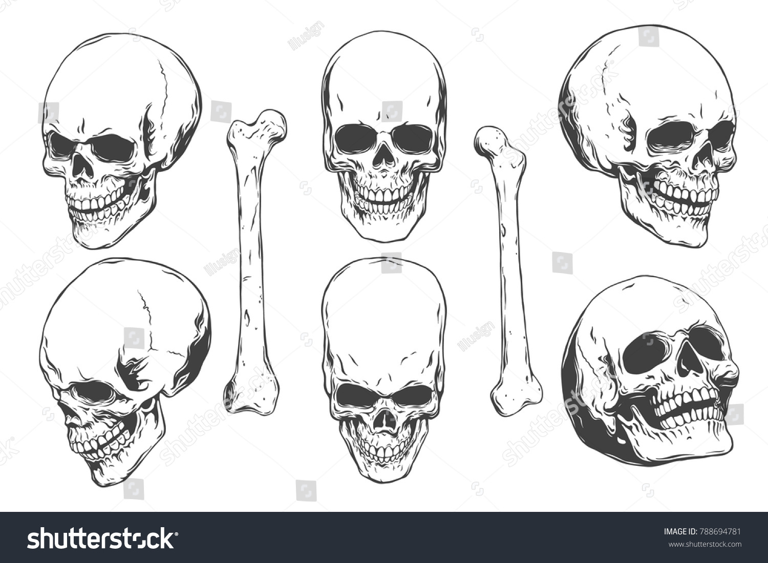 Hand Drawn Realistic Human Skulls Bones Stock Vector (Royalty Free ...