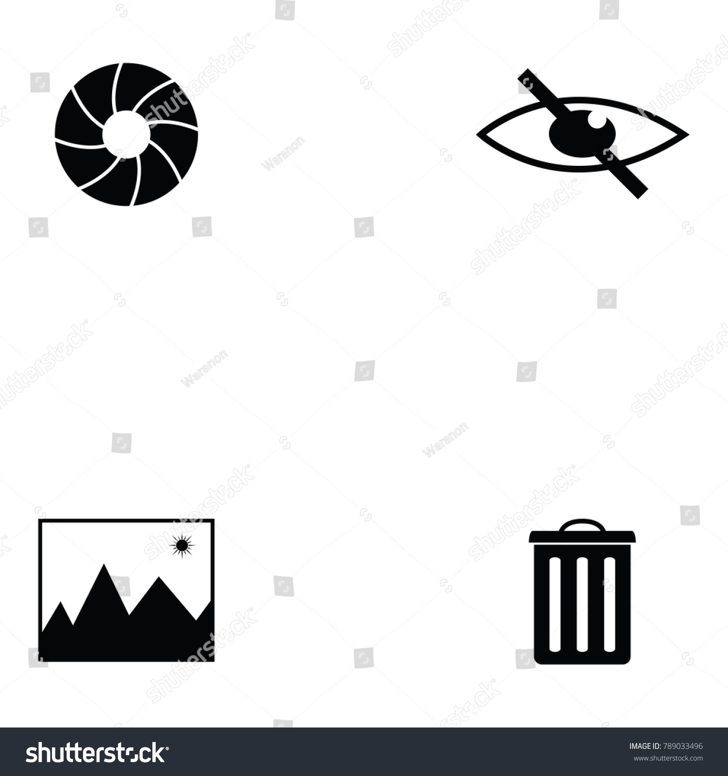 Camera Function Icon Set Stock Vector (Royalty Free) 789033496 ...
