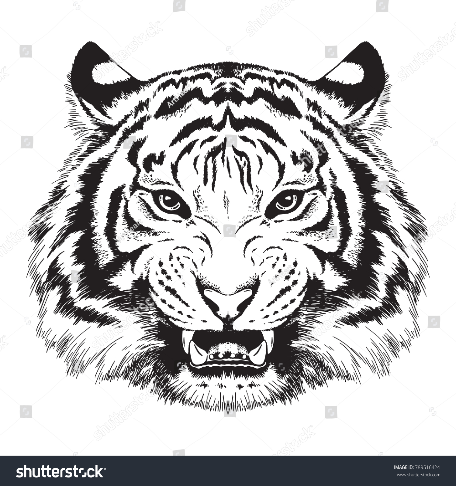 white tiger face growling