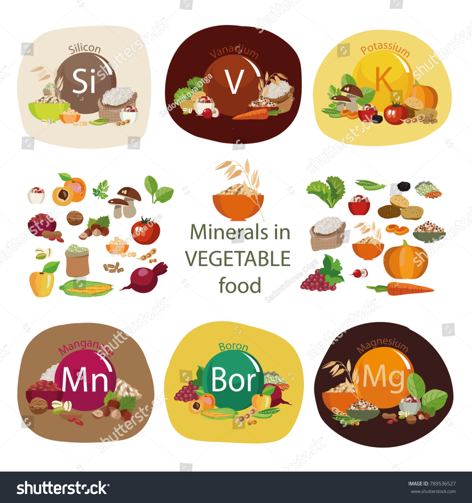 Minerals Plant Foods Composition Minerals Organic Stock Illustration