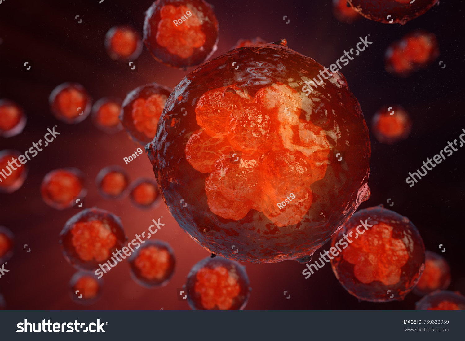 3d Illustration Early Stage Embryo Cell Stock Illustration 789832939 ... Biology Diagrams