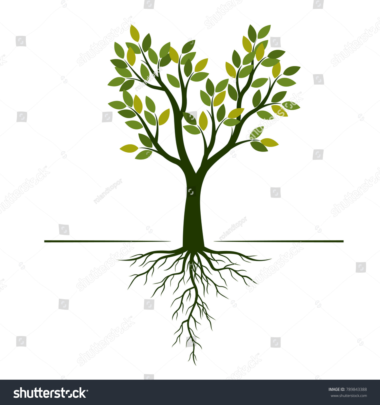 Green Tree Leaves Roots Vector Illustration Stock Vector (Royalty Free ...