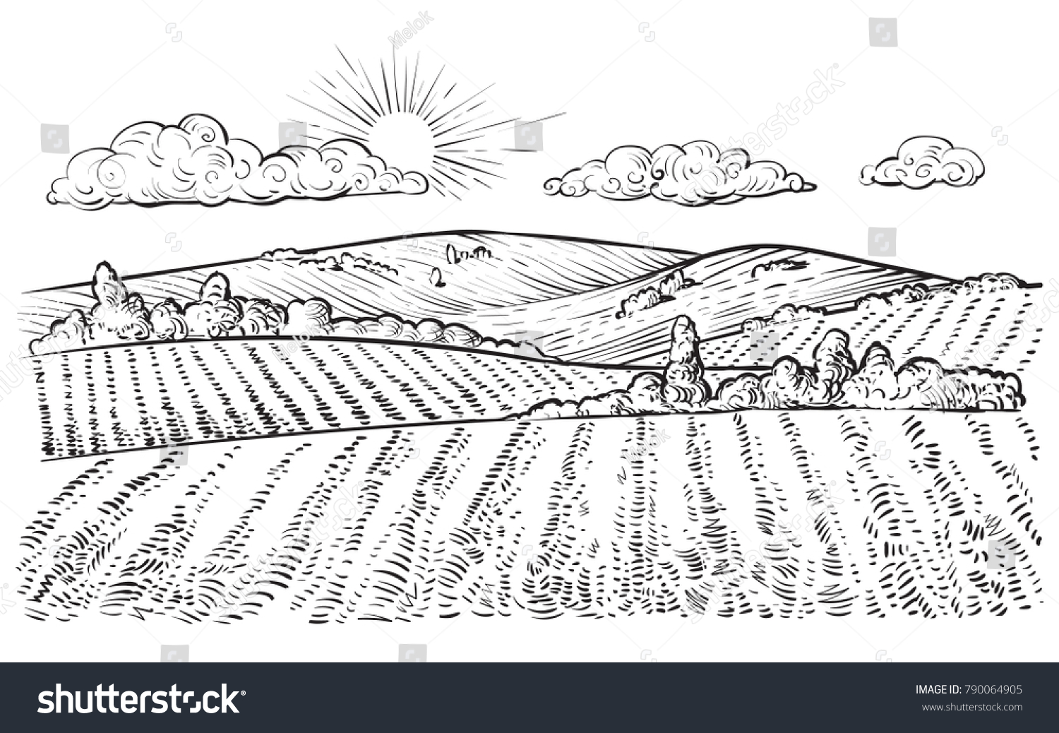Сельскохозяйственный ландшафт нарисованный