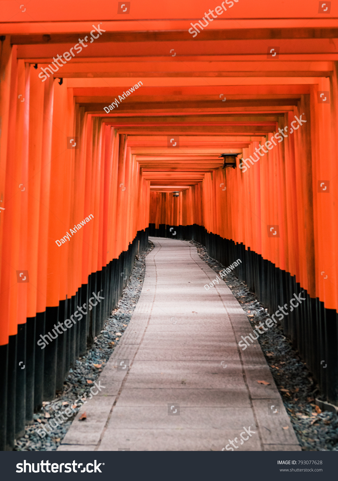 Pathway Thousands Torii Gate Stock Photo 793077628 | Shutterstock