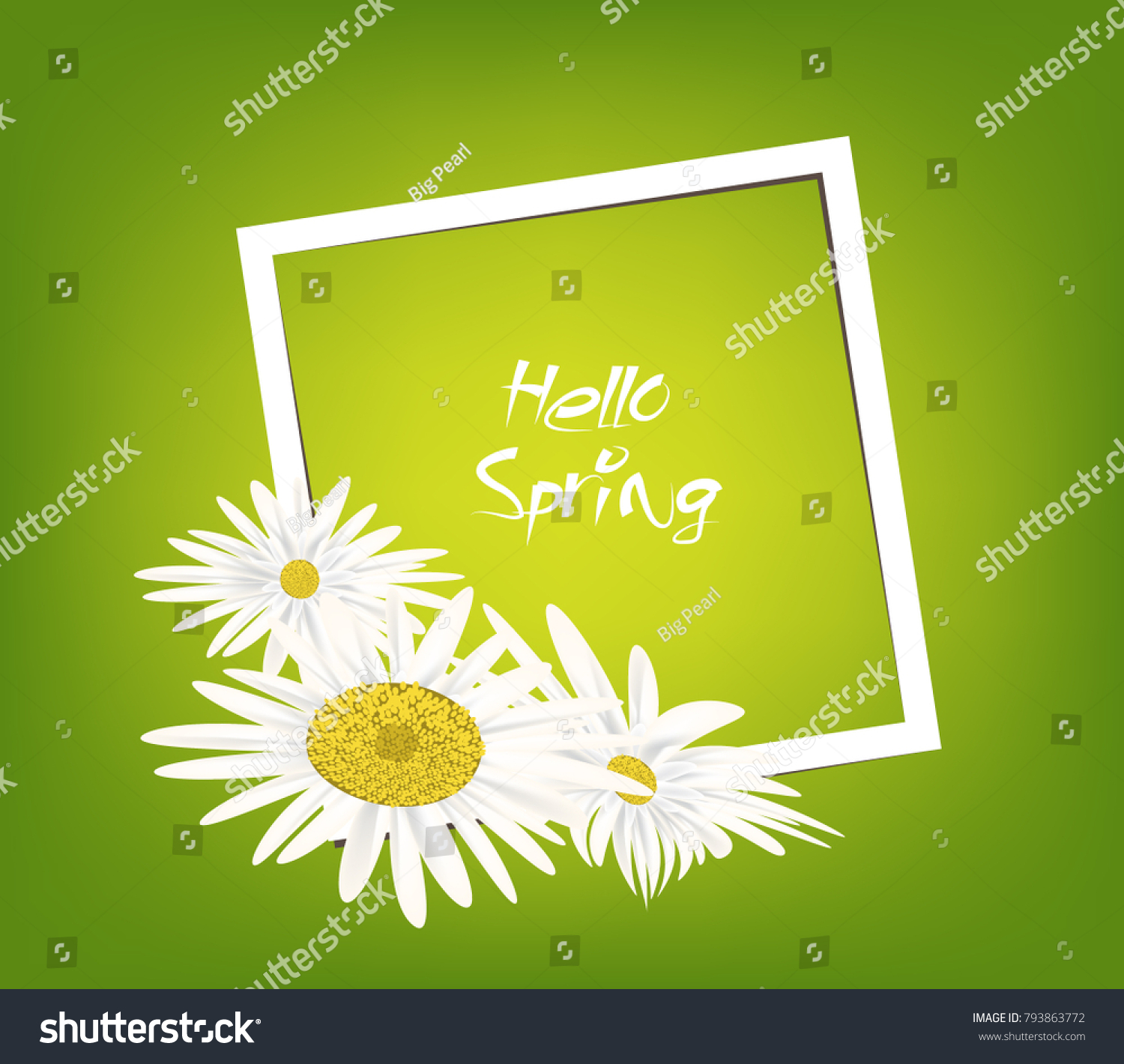 Bright Spring Banners Design Frame Background Stock Vector Royalty Free 793863772 Shutterstock