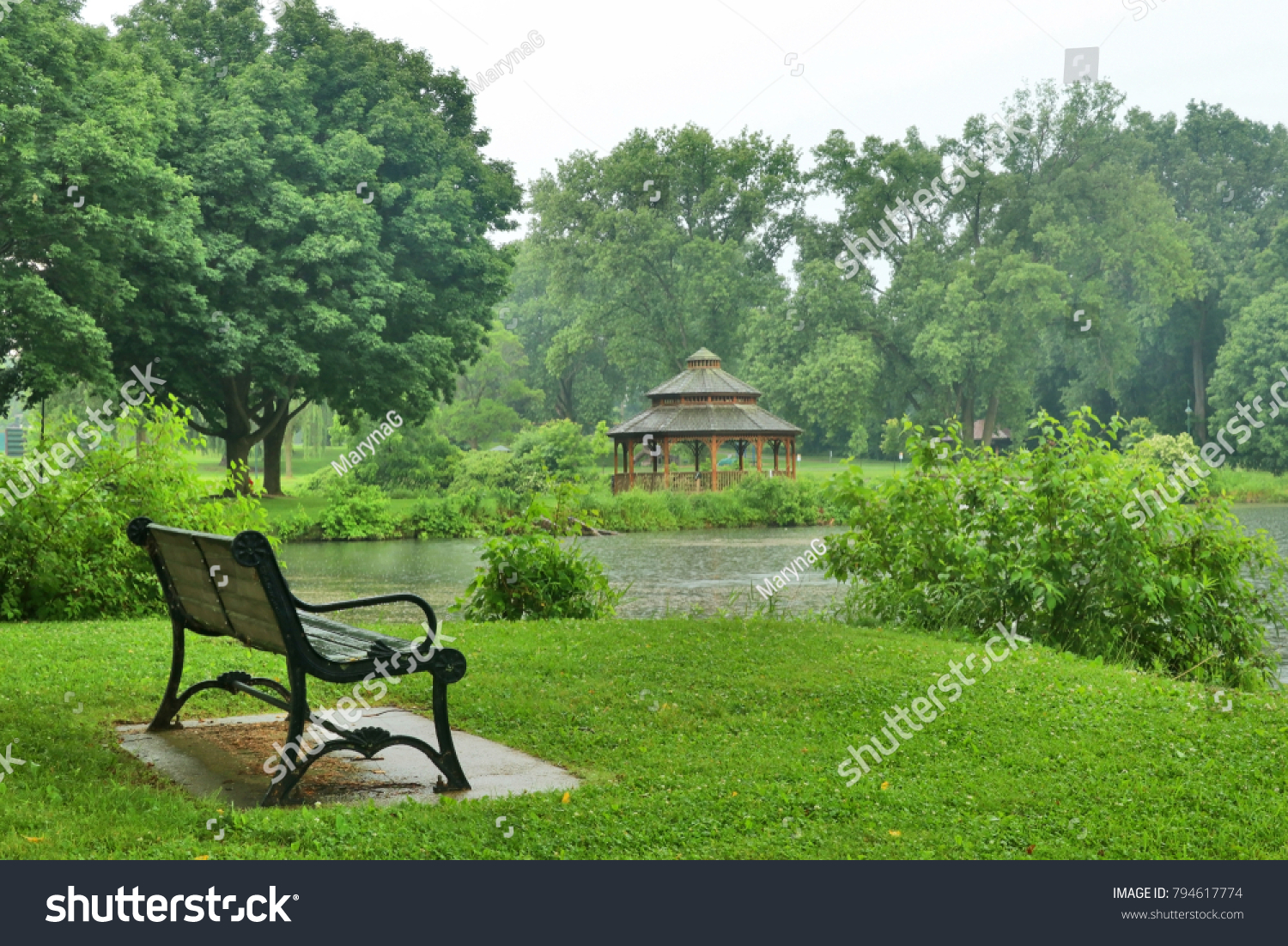 beautiful rainy nature