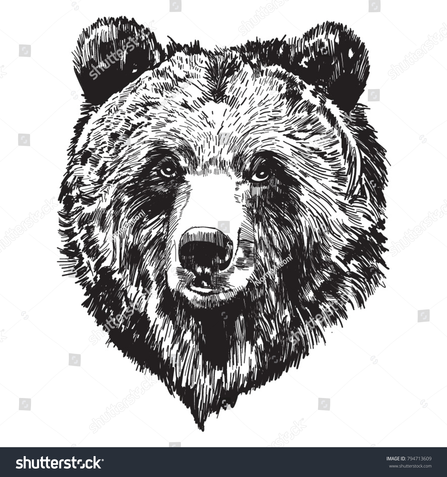 Гравировка медведь