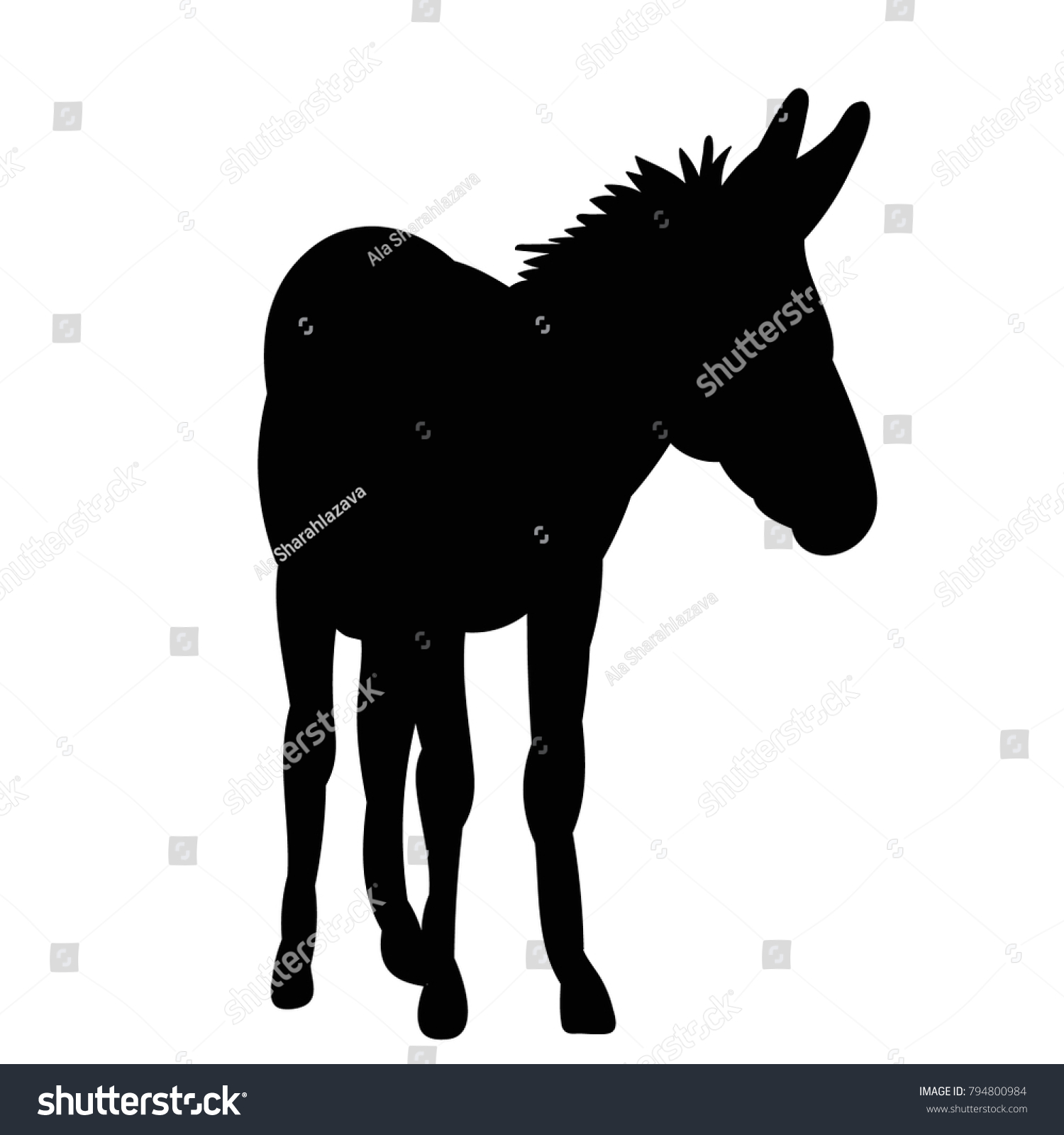 Silhouettes Donkeys Stock Vector (royalty Free) 794800984 