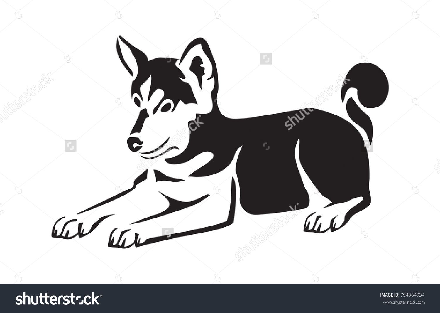 Puppy Husky Isolated On White Background Stock Vector (Royalty Free