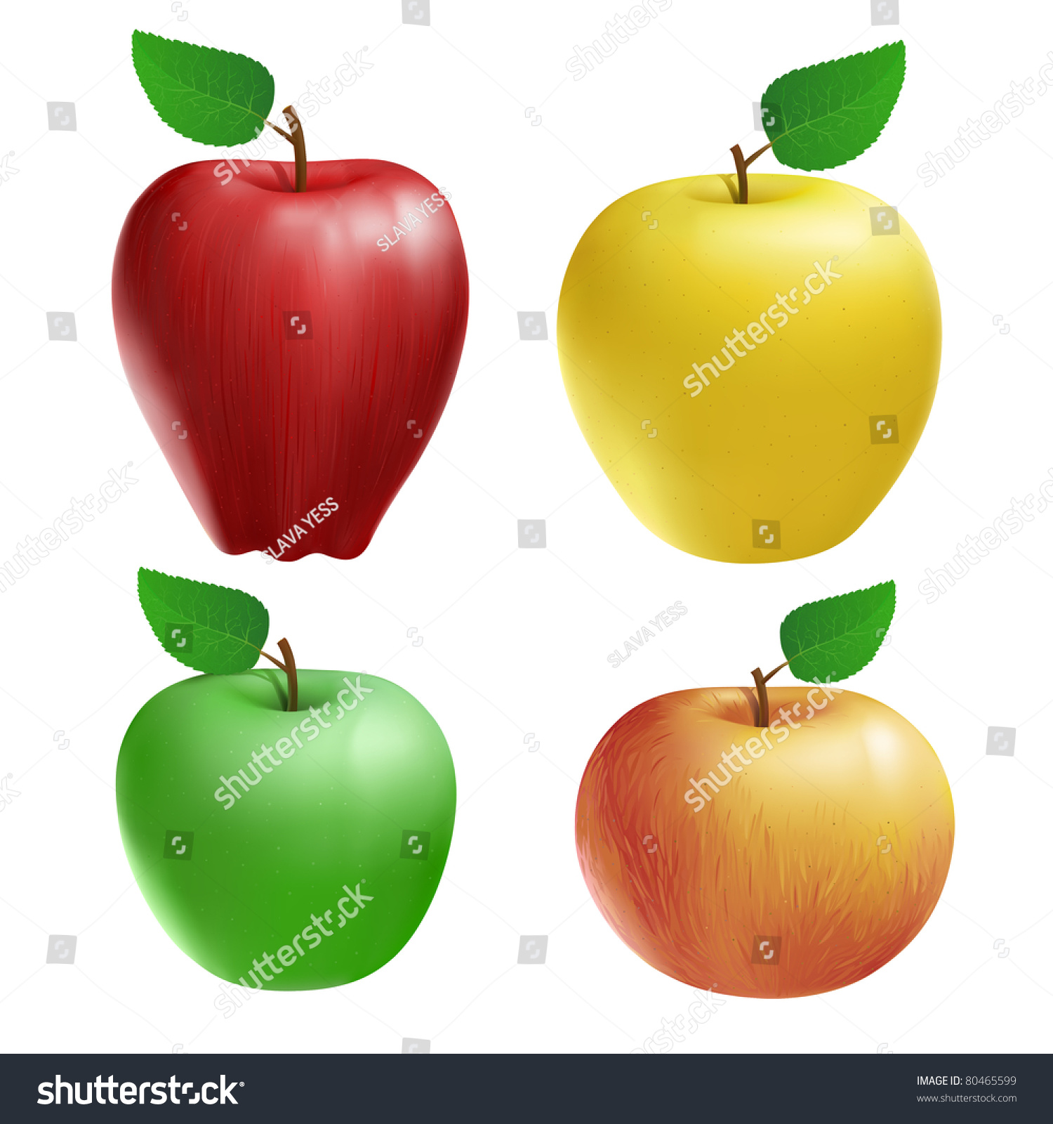 Red Yellow Green Mixed Apple Set Stock Illustration 80465599 | Shutterstock