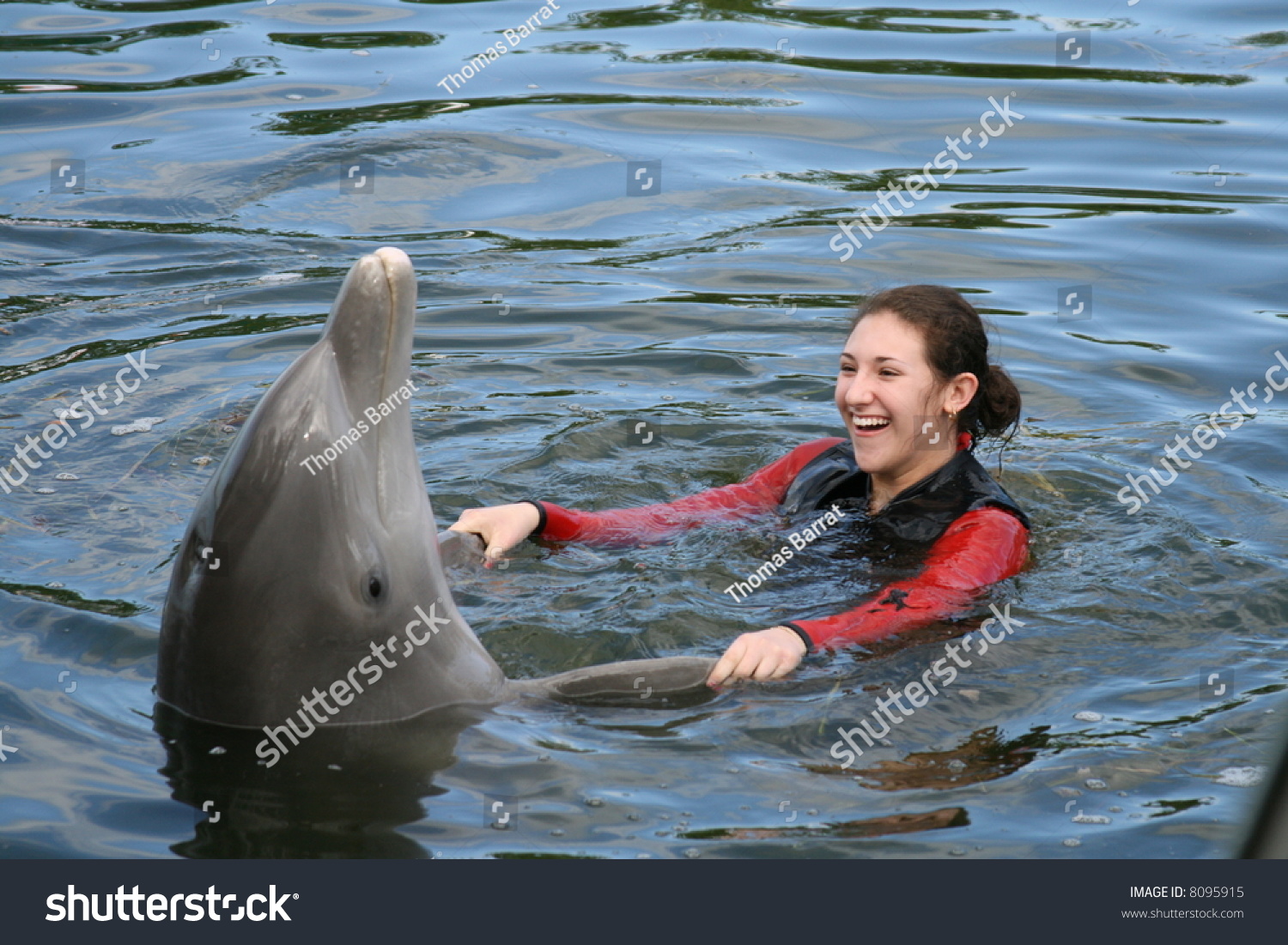 Attractive Female Teenager Dolphin Water Stock Photo 8095915 | Shutterstock