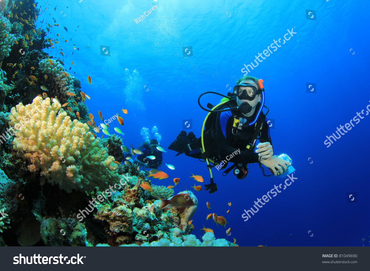 Scuba Diver Coral Reef Tropical Fish Stock Photo 81049690 | Shutterstock