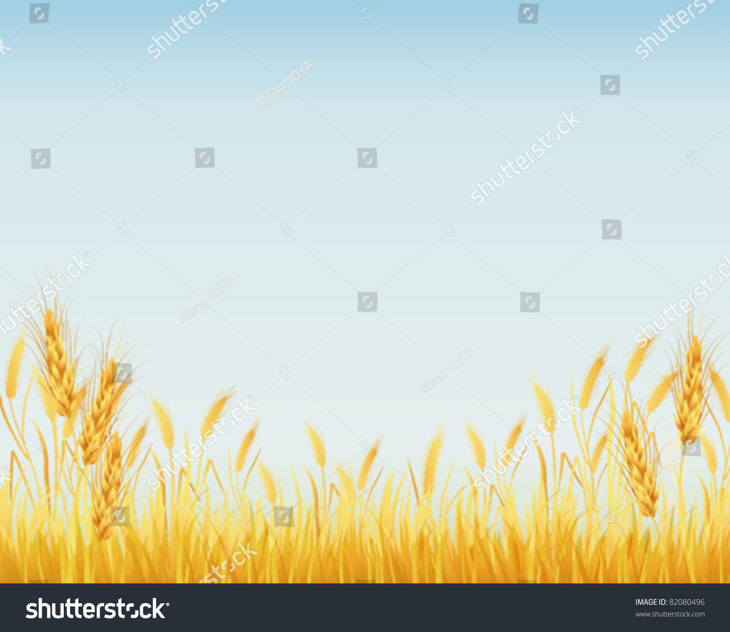 Рамка с колосьями пшеницы