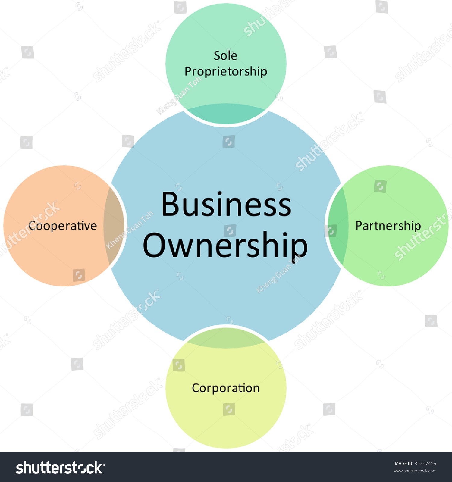 types of business ownership assignment