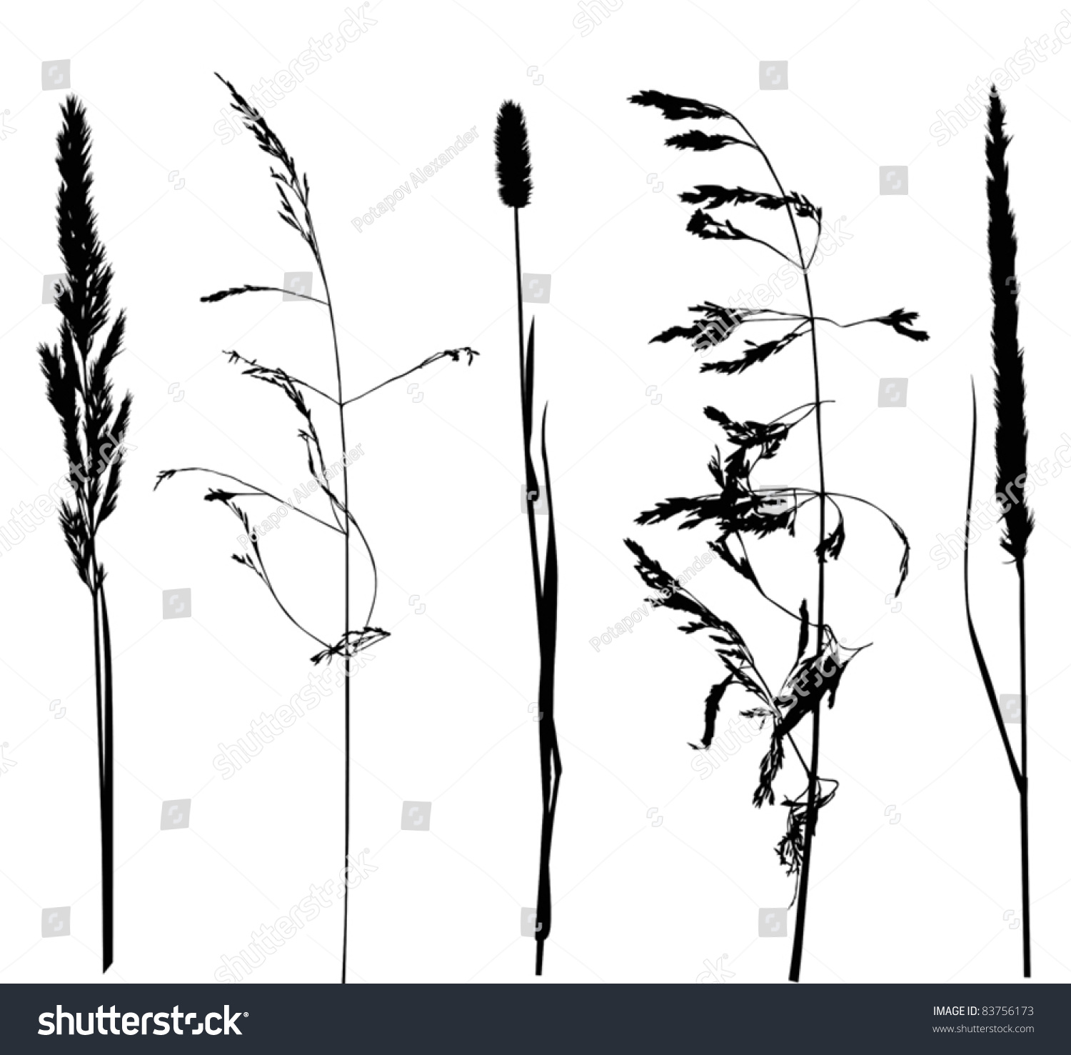 Illustration Set Plant Silhouettes Isolated On Stock Vector (Royalty ...