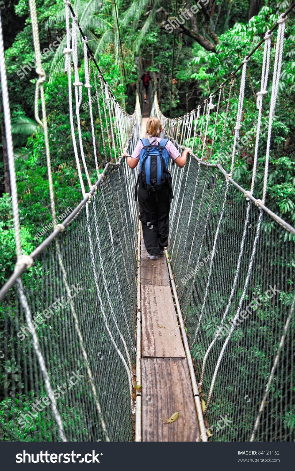 Canopy Bridge Taman Negara Malaysia Stock Photo 84121162 Shutterstock