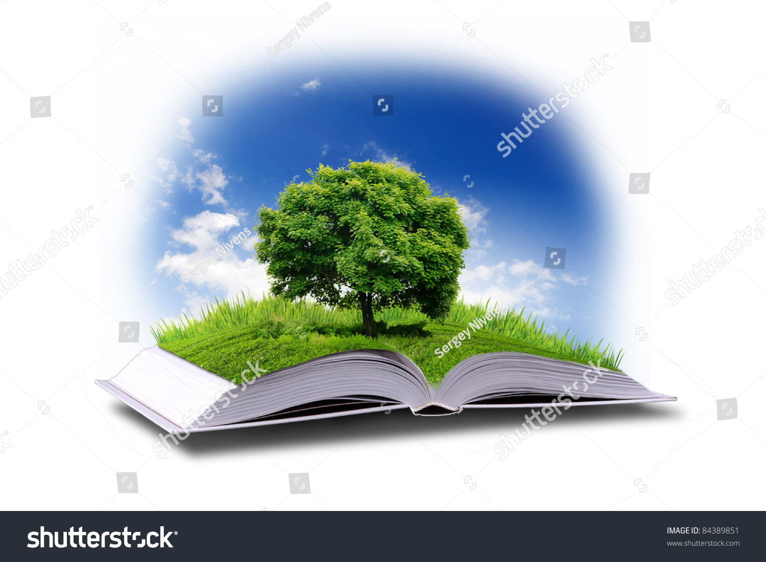 Open Book Green Nature World Coming Stock Illustration 84389851 ...