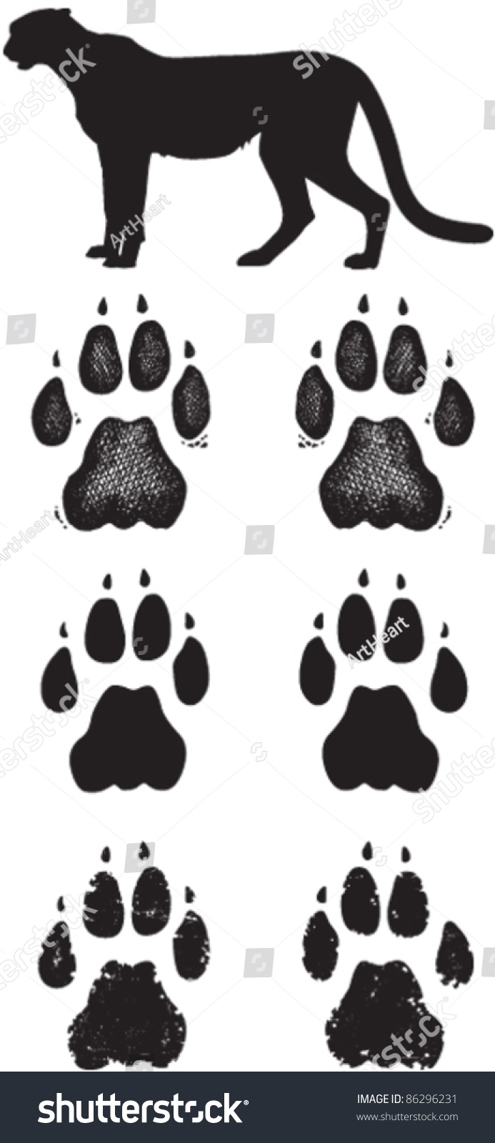 2,049 рез. по запросу "Cheetah paw prints" - изображения, стоковы...